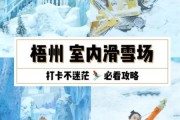 梧州冰雪馆门票价格_梧州冰雪馆营业时间