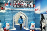 上海南极岛冰雪乐园门票价格_上海南极岛冰雪乐园怎么去