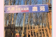 太原冰雪节门票价格_太原冰雪节好玩吗