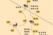 藏羚羊为什么迁徙_藏羚羊迁徙路线地图