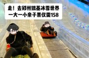 郑州冰雪城堡团购多少钱_怎么买票最便宜