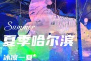 冰雪翔是什么_冰雪翔怎么玩
