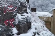 金佛山冰雪节门票多少钱_金佛山冰雪节怎么去