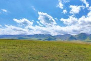 高原草甸有什么植物_高原草甸旅游最佳时间
