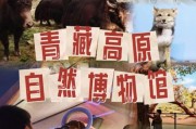 青藏高原自然博物馆值得去吗_门票价格及开放时间