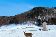 伊春冰雪旅游最佳时间_伊春冰雪景点有哪些