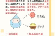 高原葡萄糖什么时候喝_高原葡萄糖的作用