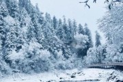 冰雪黄龙什么时候去最好_冰雪黄龙门票多少钱