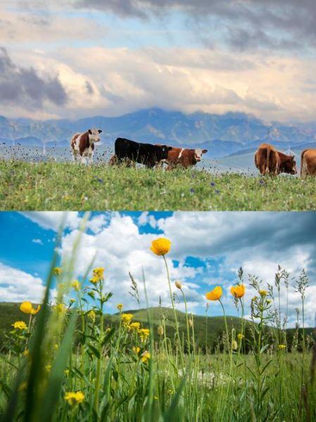 澳洲高原旅游最佳时间_澳洲高原自驾路线推荐