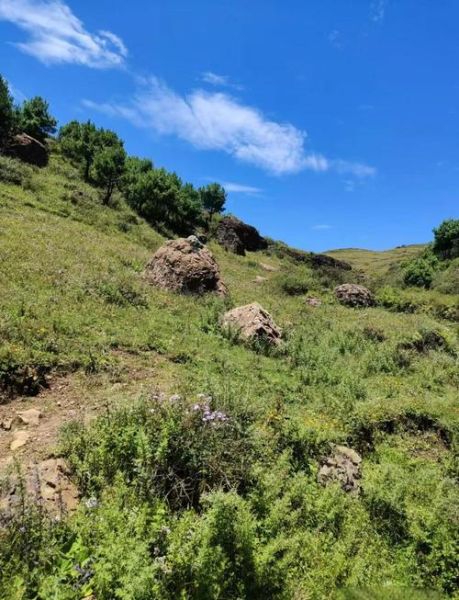 大山包高原红什么时候去最好_高原红摄影技巧