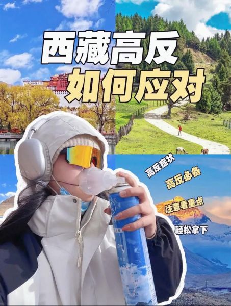 高原反应去拉萨怎么办_拉萨高原反应预防