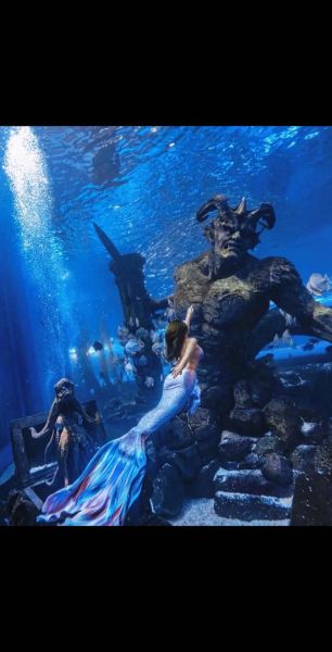 安宁冰雪海洋门票价格_2024最新优惠政策