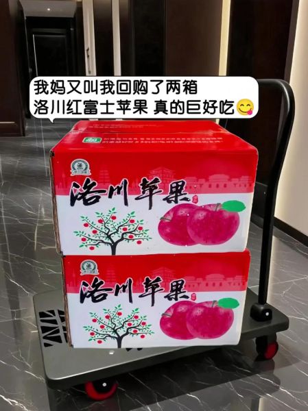 洛川高原苹果好吃吗_洛川高原苹果价格多少钱一斤