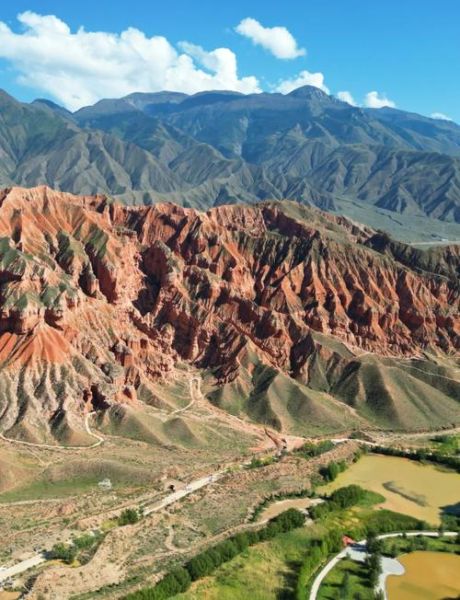 亚东高原红_青海哪里能看到最正宗的高原红