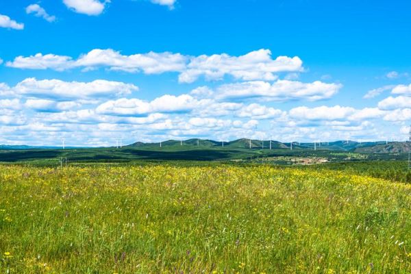 内蒙古高原海拔多少米_内蒙古高原海拔分布特点