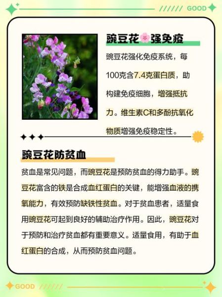 高原反应能吃豆花吗_高原反应喝豆花有什么好处