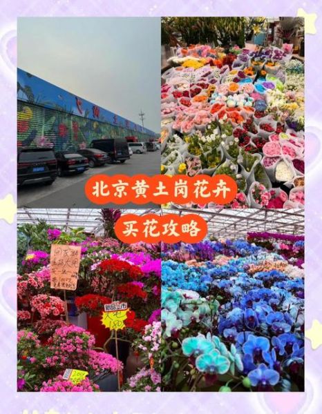 北京花卉市场在哪里_北京花卉市场营业时间