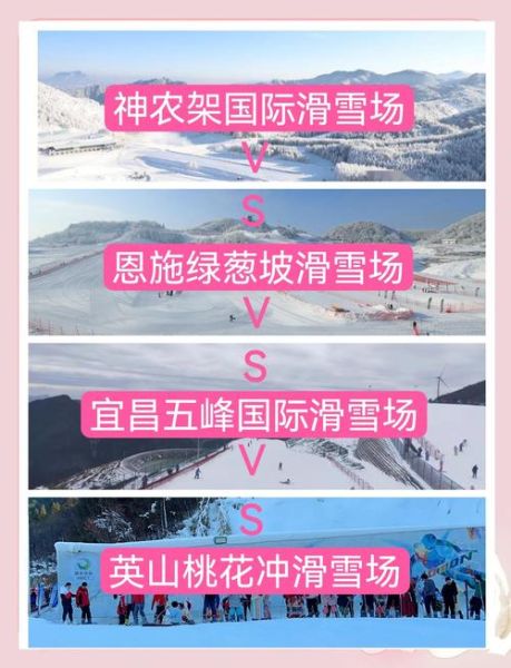 武汉冰雪公园门票价格_武汉冰雪公园怎么去