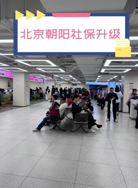 北京朝阳社保局电话是多少_朝阳社保局咨询电话
