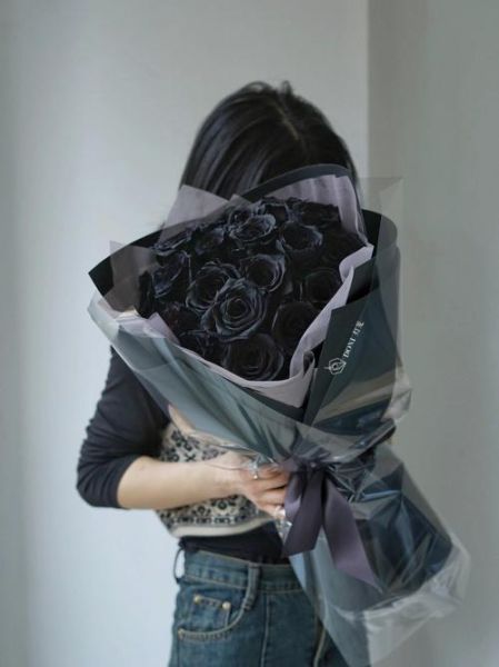 黑天鹅冰雪玫瑰是什么_黑天鹅冰雪玫瑰怎么养