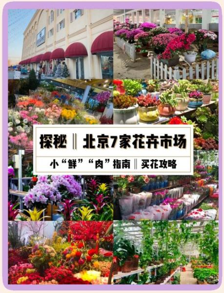 北京花店哪家好_北京订花怎么选