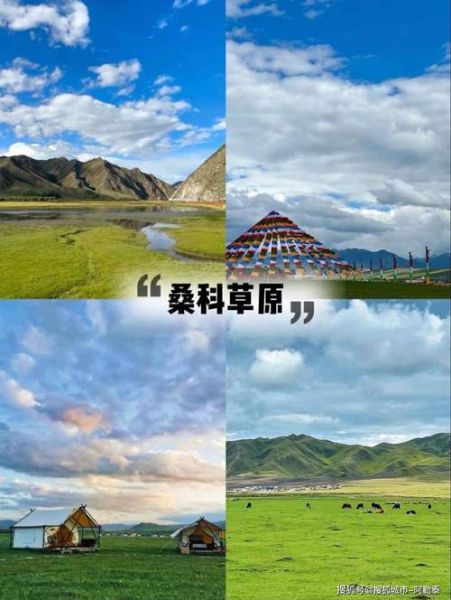 高原反应怎么测试_去高原前自测方法