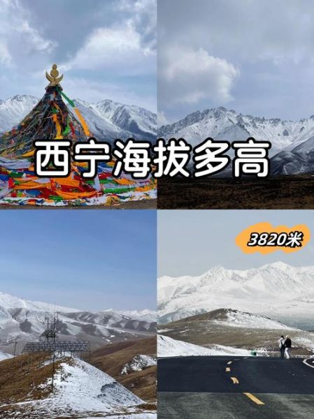 西宁是高原吗_西宁海拔多少米