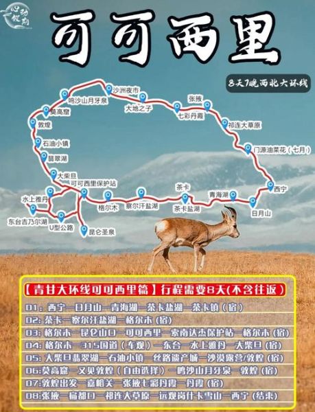 可可西里在哪里_青藏高原可可西里旅游攻略