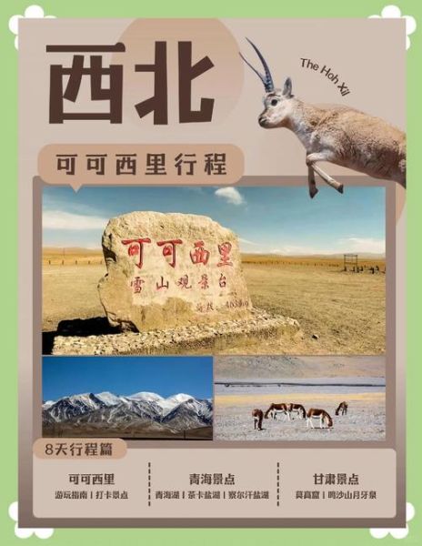 可可西里在哪里_青藏高原可可西里旅游攻略