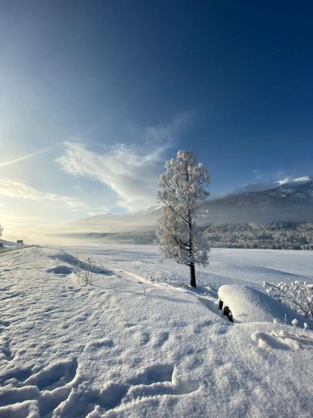 皑皑冰雪是什么意思_皑皑冰雪形容什么场景