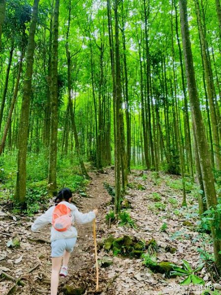 德阳户外群怎么加入_德阳徒步路线推荐