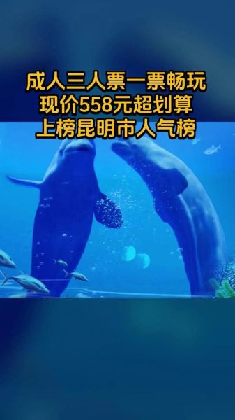 云南冰雪海洋世界在哪里_门票多少钱