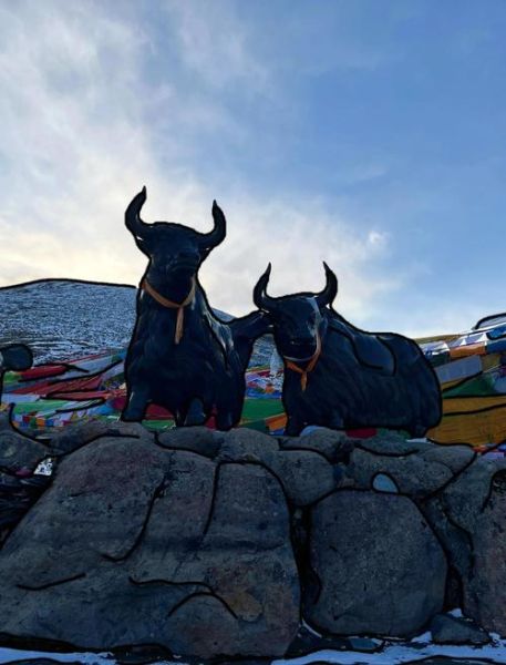 高原山口在哪里_高原山口海拔多少米