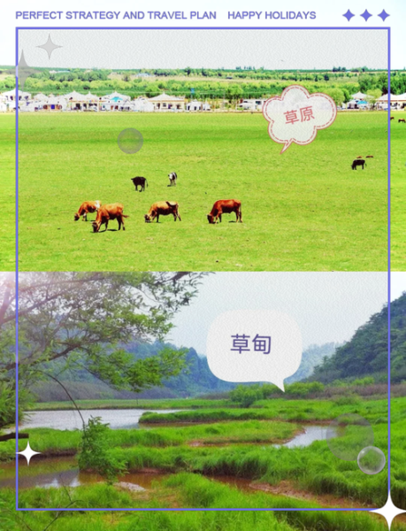 小中甸高原牧场在哪里_最佳旅游季节