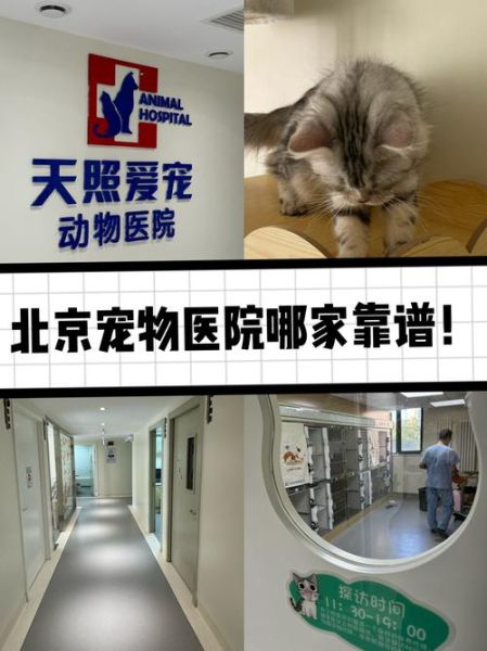 北京农大宠物医院怎么样_收费标准