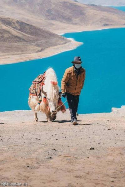 高原遮阳帽怎么选_高原防晒帽有用吗