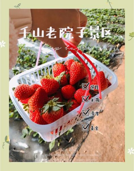 东北冰雪葡萄怎么种植_东北冰雪葡萄好吃吗