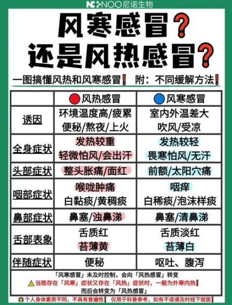 轻微感冒去高原_会不会加重