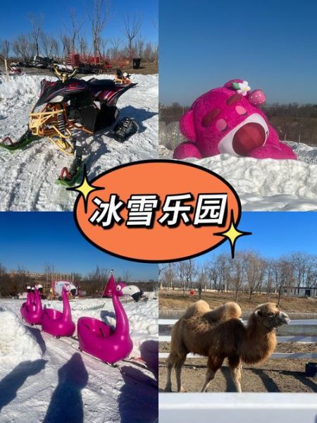 神奇的冰雪花园门票价格_怎么去最方便