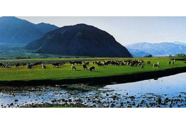 盘县高原草场最美时间_什么时候去最惊艳