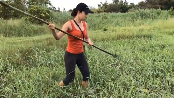 户外鱼叉怎么用_户外鱼叉合法吗