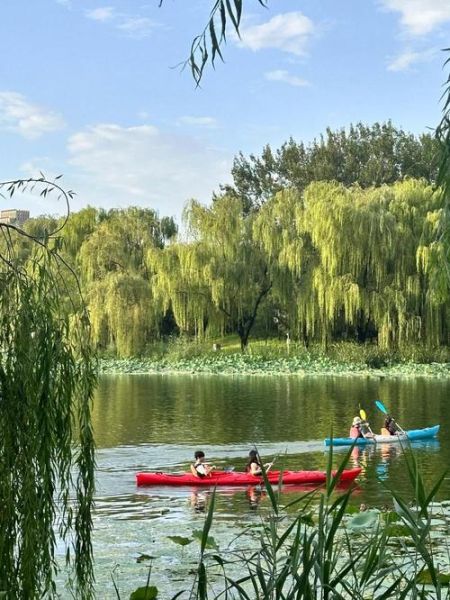 北京朝阳区今天穿什么_朝阳区明天会下雨吗