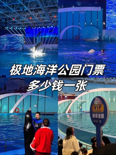 海洋公园冰雪乐园门票价格_冰雪乐园值得去吗
