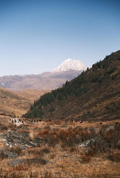 过敏性哮喘能去高原吗_高原旅行注意事项