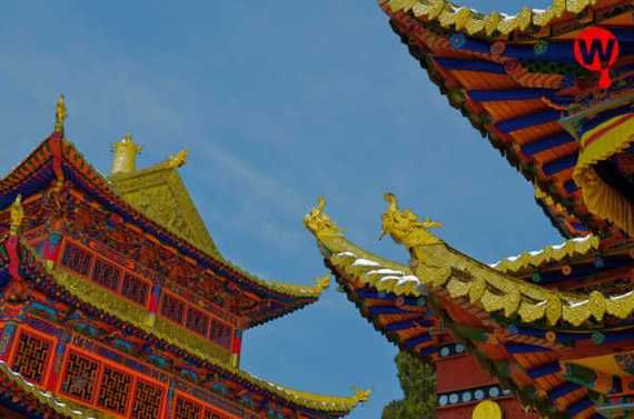 阿坝高原红酒店怎么样_高原红酒店预订价格