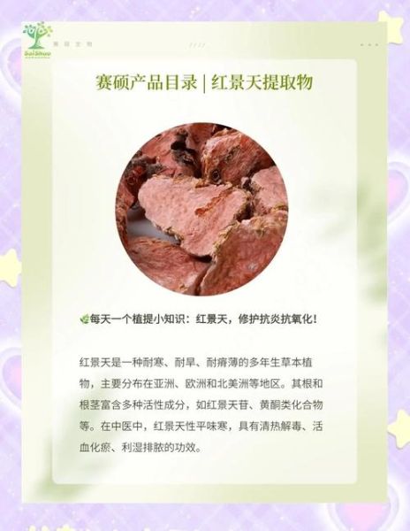 吃红景天能预防高原反应吗_红景天怎么吃效果好