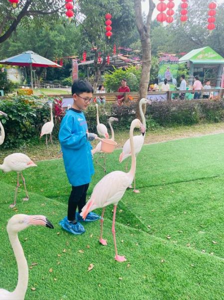 广州火烈鸟户外怎么样_火烈鸟户外俱乐部路线推荐