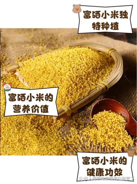 玻利维亚高原小米价格_多少钱一斤