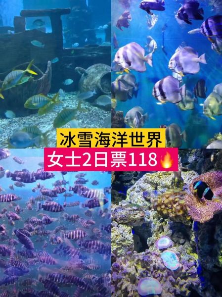 云南石林冰雪海洋公园门票价格_云南石林冰雪海洋公园值得去吗