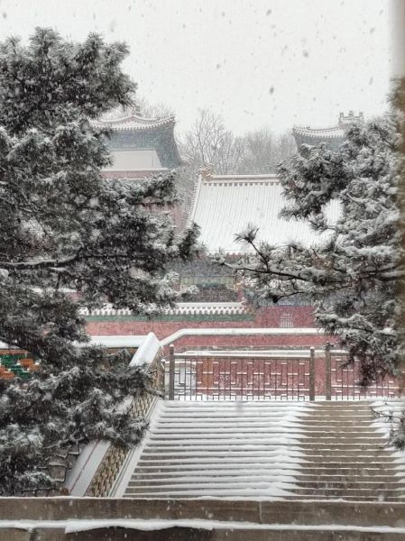 北京什么时候下雪_北京下雪去哪玩